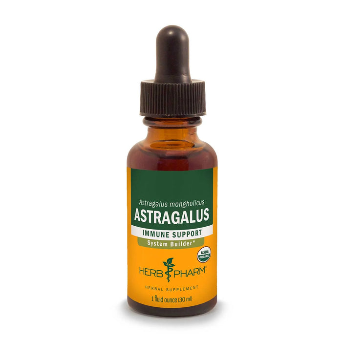 Astragalus